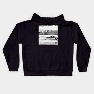 Geese coming in for a landing in black and white Kids Hoodie
